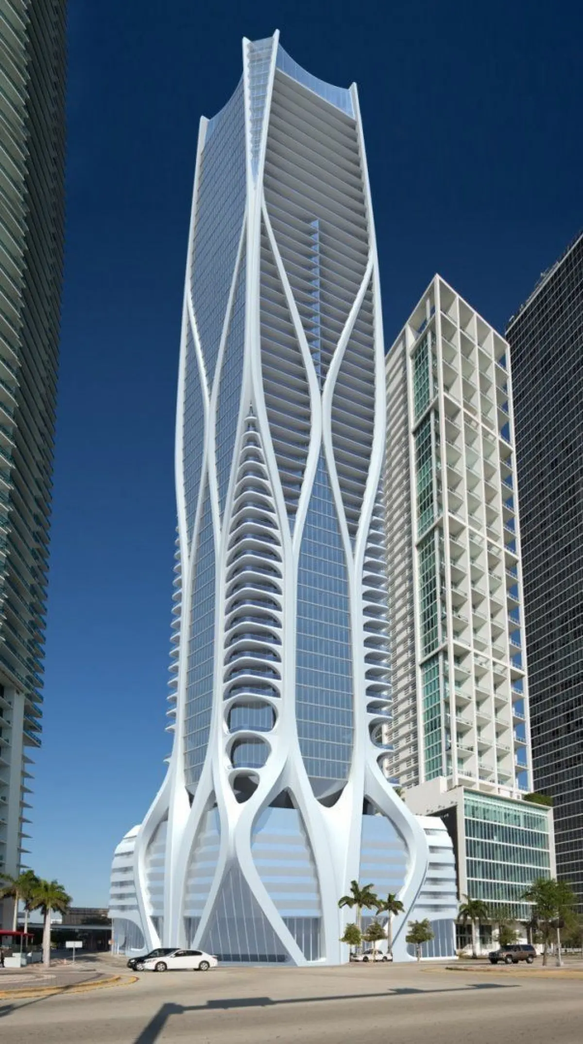 Slide 8